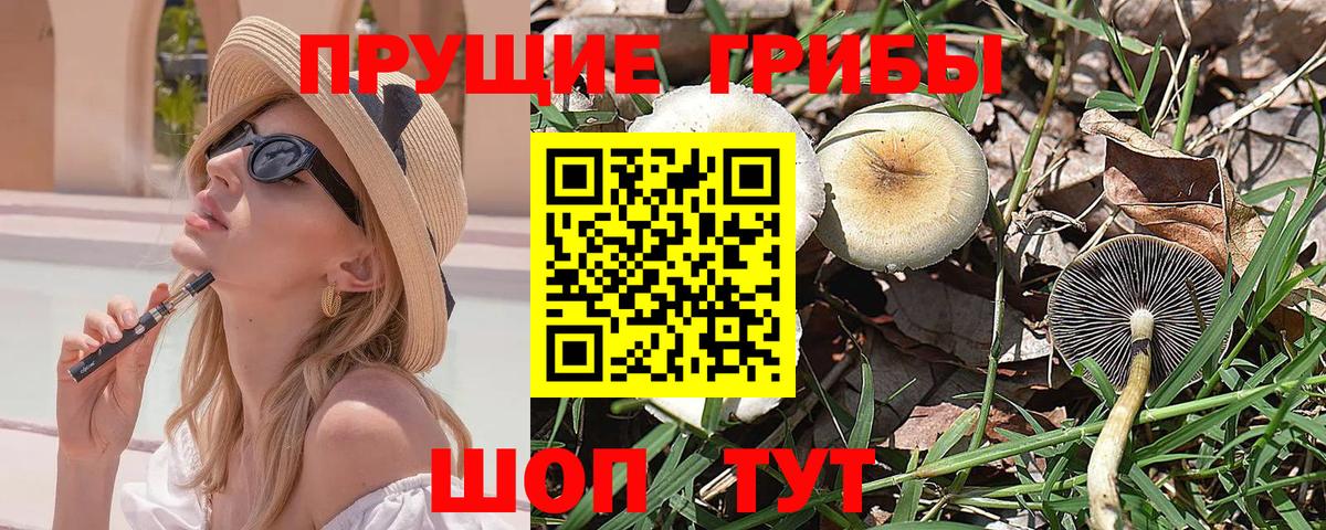 Галлюциногенные грибы GOLDEN TEACHER  купить закладку  Карасук  Галлюциногенные грибы MAGIC MUSHROOMS 