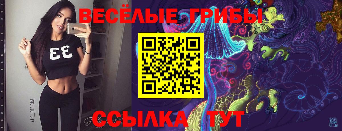Псилоцибиновые грибы Cubensis Карасук