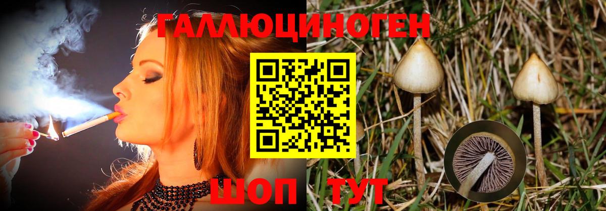 Галлюциногенные грибы Cubensis  Вход с VPN  Карасук  дарнет шоп  Псилоцибиновые грибы MAGIC MUSHROOMS 