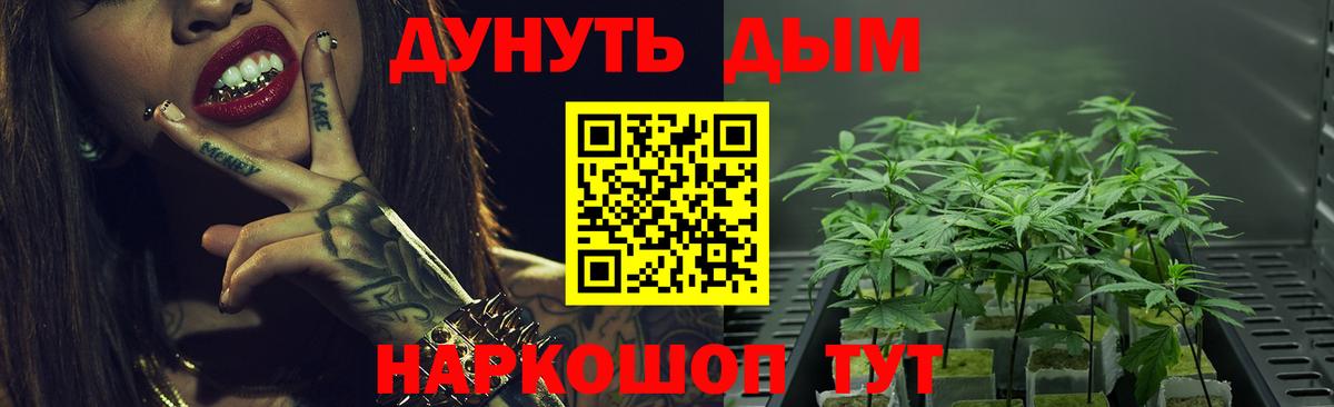 Бошки Шишки White Widow  МАРИХУАНА конопля  Вход с VPN  Карасук 